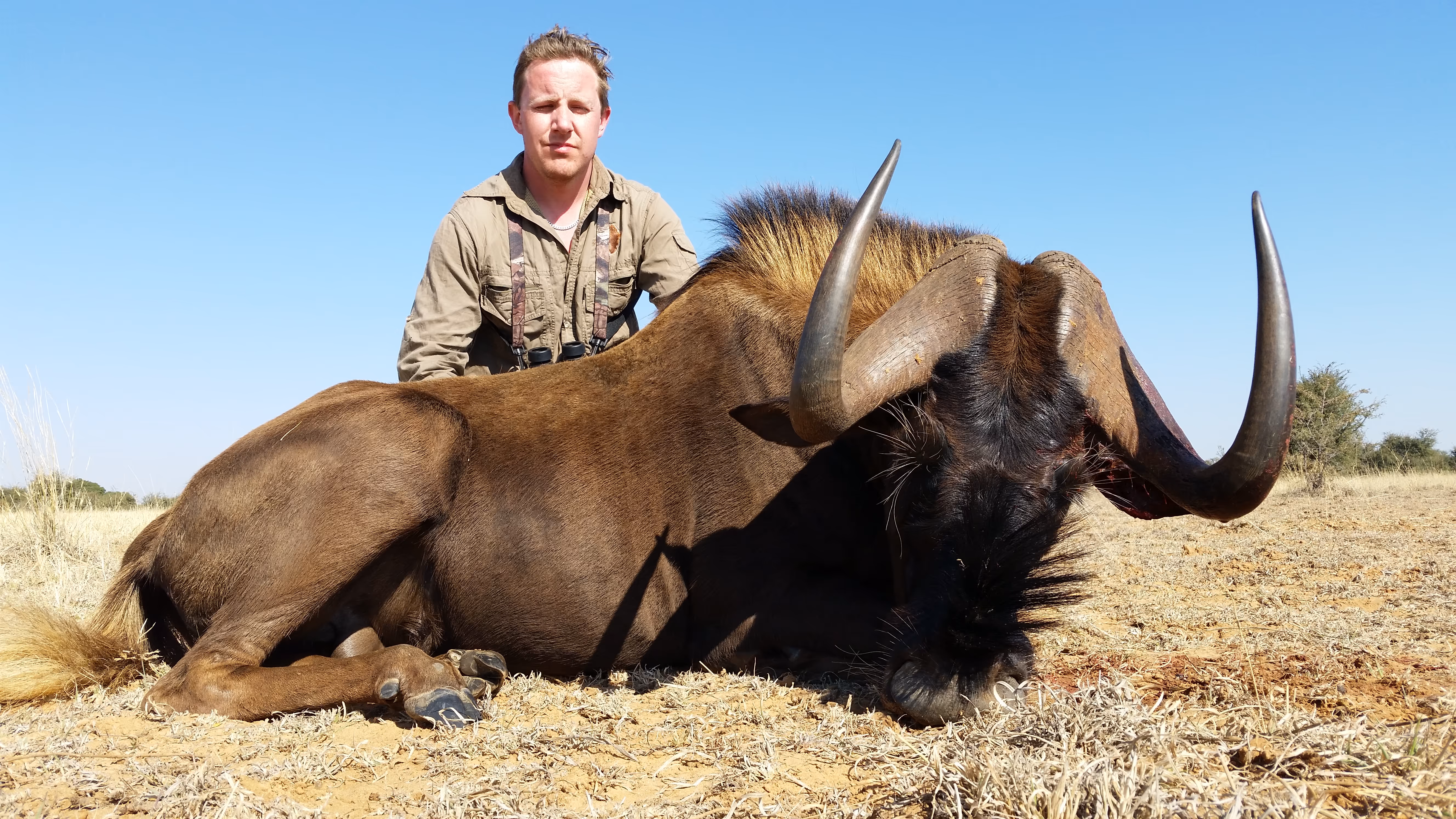A hunter with a black wildebeest on the plains