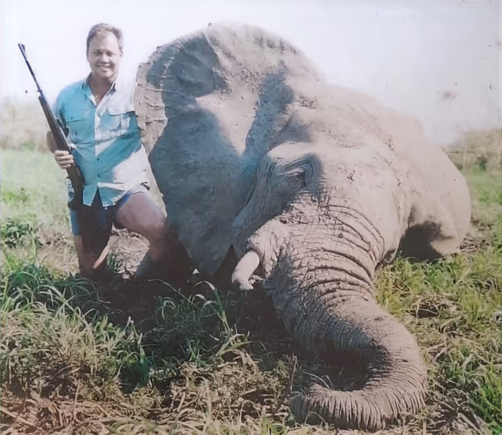 A big-game safari moment in the African wild