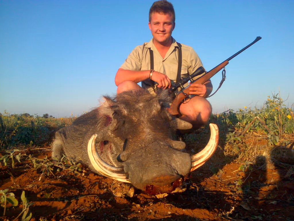 A characterful old warthog boar taken in the bushveld